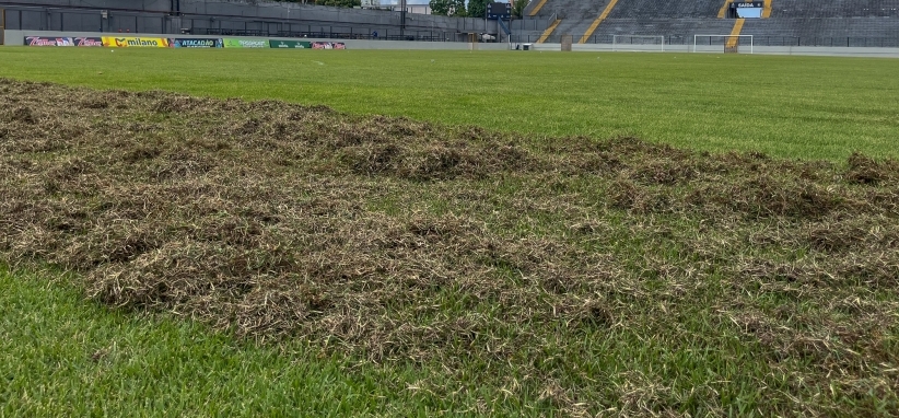 Banpará Baenão passa por revitalização do gramado para próxima temporada