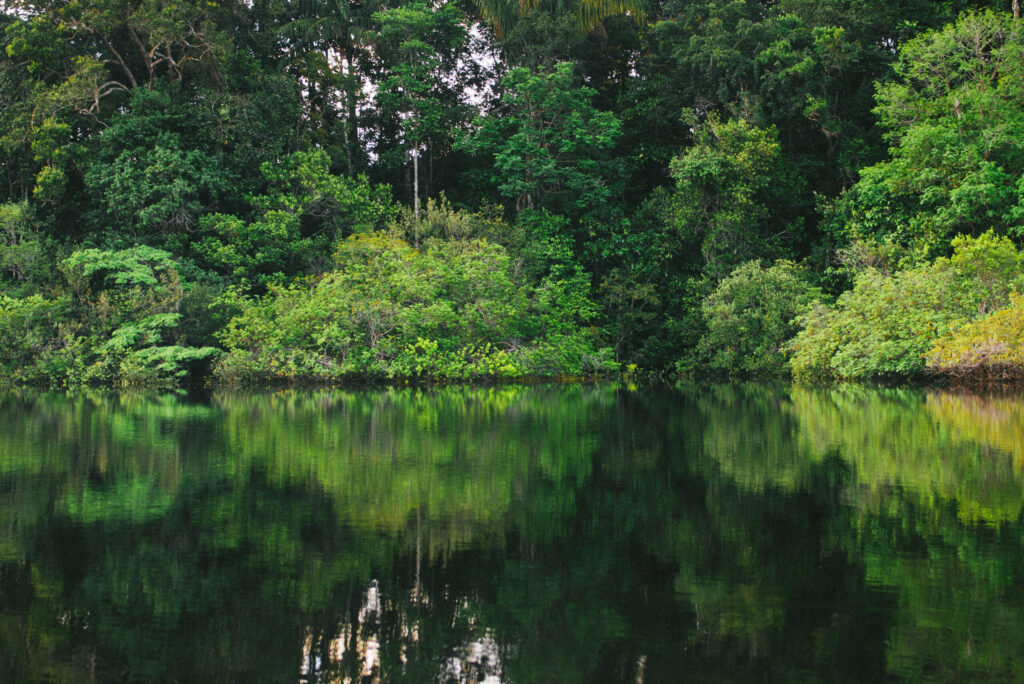 Prêmio Braztoa reconhece iniciativas inovadoras no turismo sustentável brasileiro