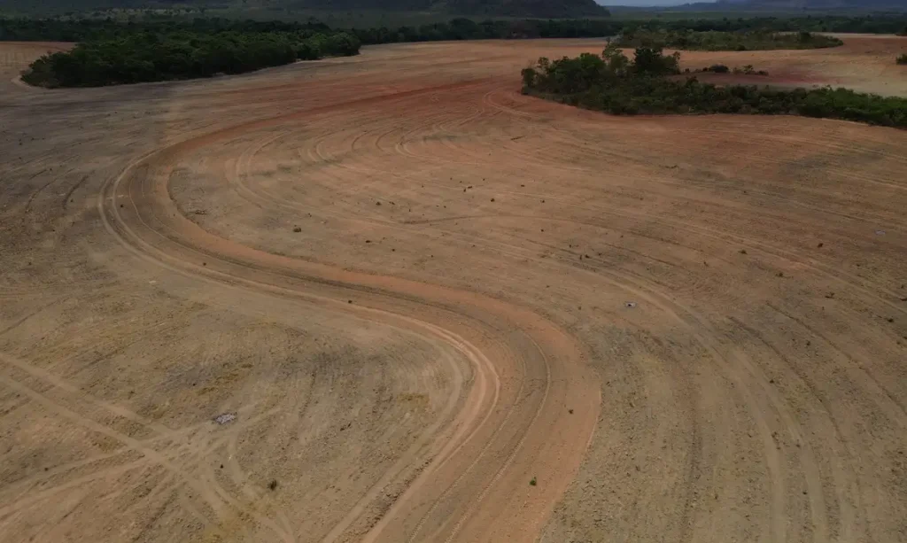 Fim da Moratória da Soja pode ampliar destruição da Amazônia