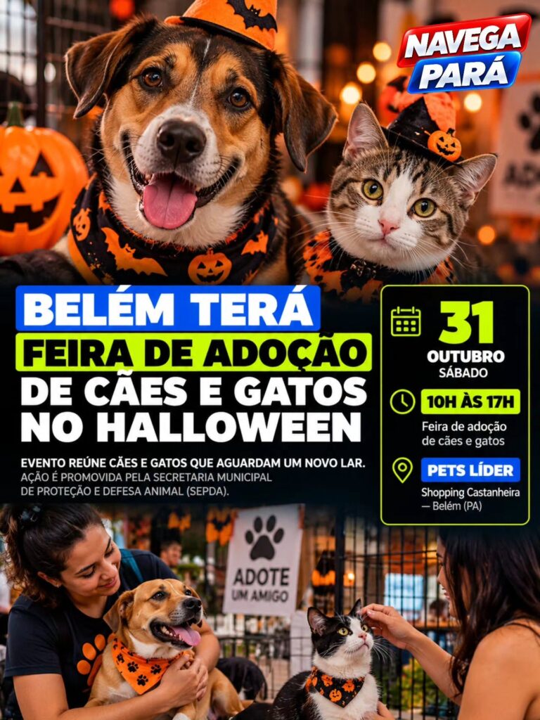 Prefeitura de Belém promove feira de adoção de cães e gatos com temática de Halloween neste sábado (31)